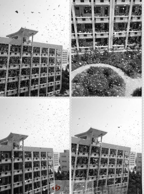 驻马店各县区高中飞雪 高三生撕碎试题页减压